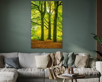 Herbstlicher Sonnenuntergang im Wald auf der Veluwe von Sjoerd van der Wal Fotografie