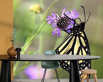 Monarchvlinder ( prent ) van Jose Lok