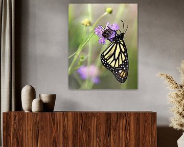 Papillon monarque ( print ) sur Jose Lok