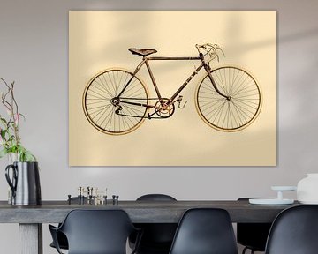 De verweerde Racefiets van Martin Bergsma