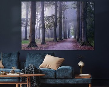 Statige bomen in de mist van Moetwil en van Dijk - Fotografie
