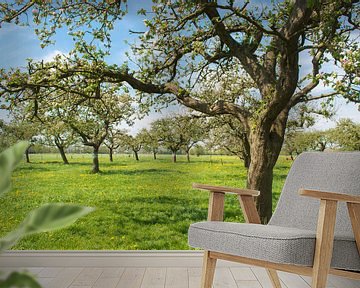 Appelbomen in de boomgaard van Sjoerd van der Wal Fotografie