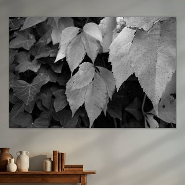 The colours of autumn in different splendours by Bianca Meyering Fotos - BMF