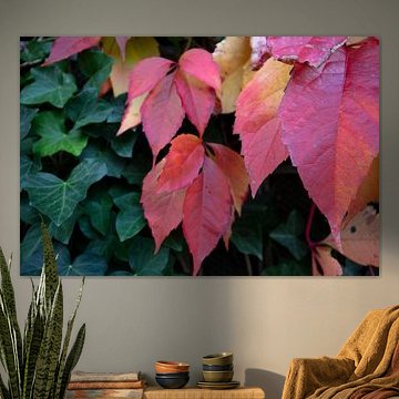 The colours of autumn in different splendours by Bianca Meyering Fotos - BMF