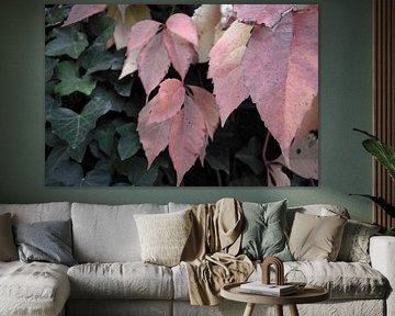 Les couleurs de l'automne dans toute leur splendeur sur Bianca Meyering Fotos - BMF