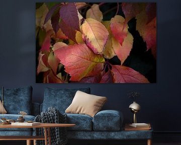 Les couleurs de l'automne dans toute leur splendeur sur Bianca Meyering Fotos - BMF