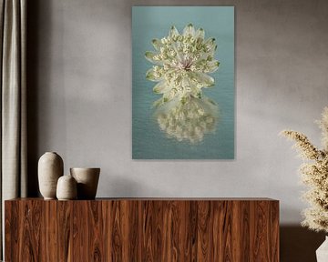 Zeeuws Knoopje met abstracte weerspiegeling van Marjolijn van den Berg
