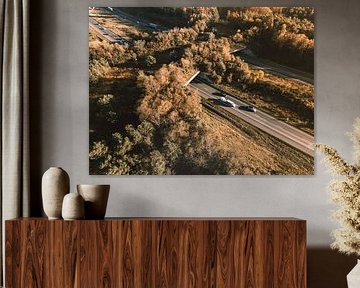 Ökodukt über eine Autobahn in der Veluwe von Sjoerd van der Wal Fotografie