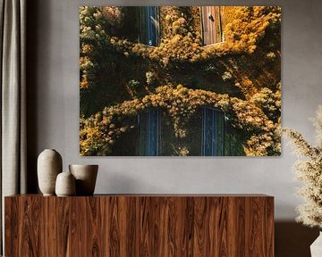 Écoduc au-dessus d'une autoroute sur la Veluwe sur Sjoerd van der Wal Photographie