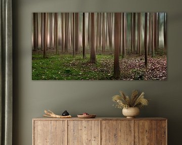 Dream forest by Jan  Soeterbroek