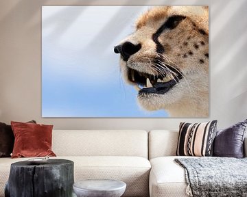 Portret van een cheetah van Caroline Piek