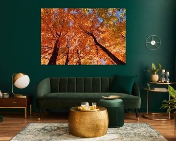 A maple forest in autumn by Claude Laprise