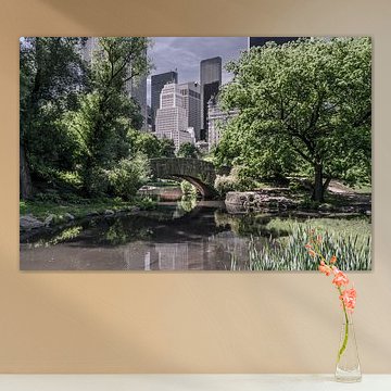 Central Park  New York