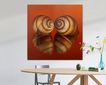Cosy Orange: Samen in het warme oranje van Marjolijn van den Berg