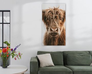Schotse Hooglander Portret in Natuurlijke Pracht