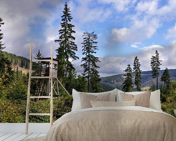 Aperçu de la chambre