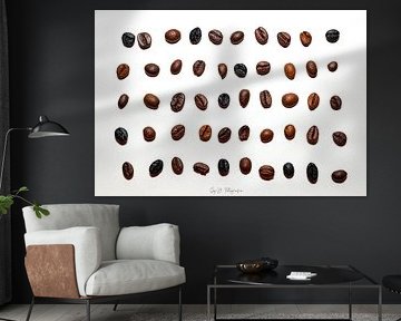 Variety of Coffee Beans Arranged in a Grid on White Background by SyD Fotografia