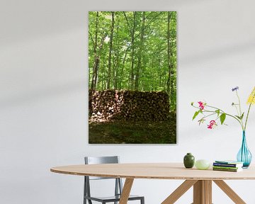 Een houten touw is aan de ersbliere van Claude Laprise