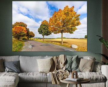 Herbstlich gefärbte Bäume und Straße im Herbst nahe Groß Gö