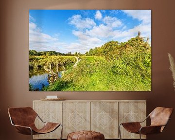 Landschap in de herfst in het Warnow-doorbraakdal bij Groß Görnow van Rico Ködder