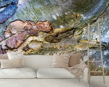 Detail Rinde Birnbaum