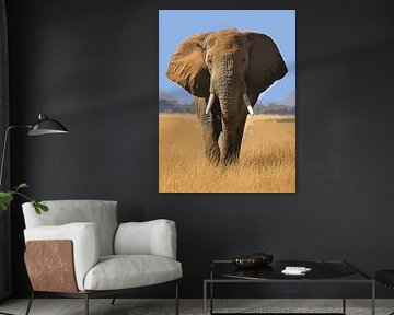 Majestueuze olifant