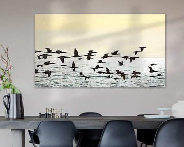 a flock of cormorants by Werner Lehmann