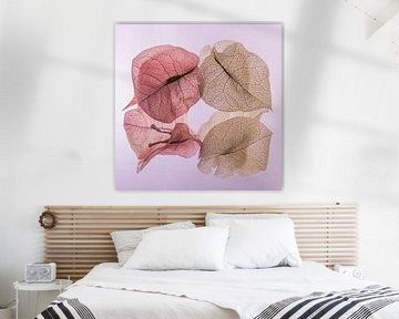 Pink Autumn: Transience of the leaves by Marjolijn van den Berg
