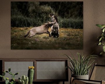 Paarden in Botsing Oerkracht op het Veld van Femke Ketelaar