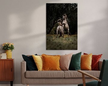 Kampf der Pferde in Golden Meadow Power and Grace