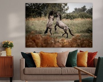 Paardenstrijd Wild Vuur in de Weide van Femke Ketelaar