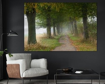 Hainbuchenallee im Herbst mit Nebel