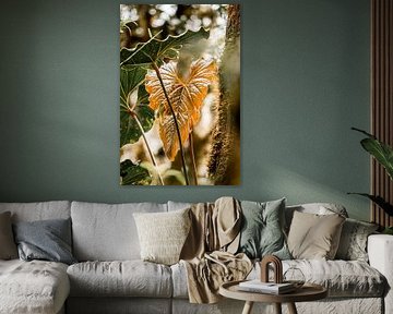 Blad in Goudhart Zonlicht in de Jungle