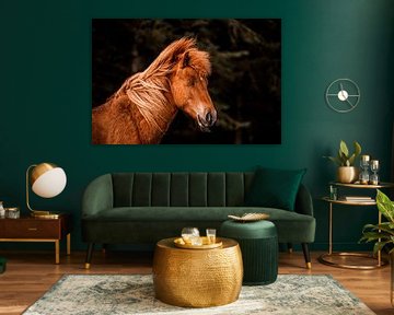 Paard in Stil Portret Vurige Rust