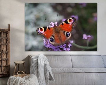 Peacock Butterfly von Lisanne Mudde