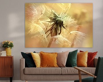 Pusteblume von Violetta Honkisz
