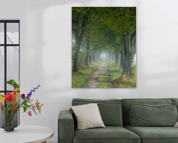 An avenue of hornbeams in autumn with mystical fog by Holger W. Spieker