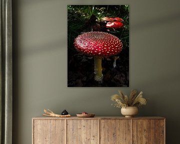 Fly agaric by Willemijn Wolthaus