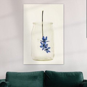 still life blue flower