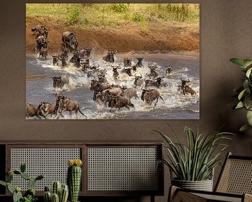 Gnus überqueren den Mara-Fluss von Peter van Dam