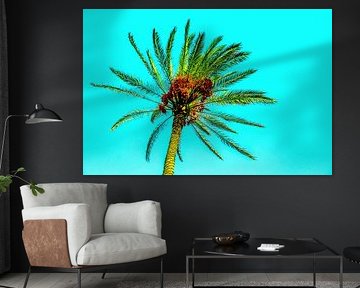 Date palm by Dieter Walther