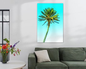 Date palm in the wind by Dieter Walther