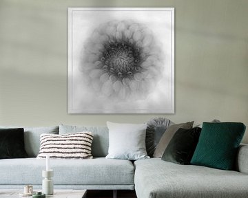 Fleur de dahlia en noir et blanc sur Elly van Veen