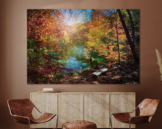 Aperçu de la chambre