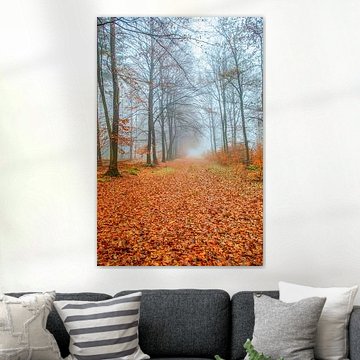 Footpath covered in fallen red leaves in a misty autumn forest