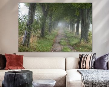 Mystische Nebellandschaft mit einer Baumallee