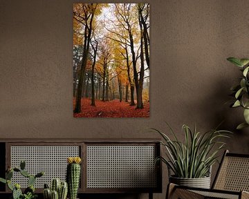 Herbst in der Achterhoek von Arno Wolsink