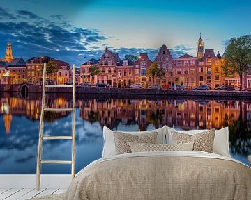 Spaarne Haarlem by Dick van Duijn