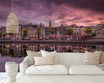 Spaarne Haarlem by Dick van Duijn