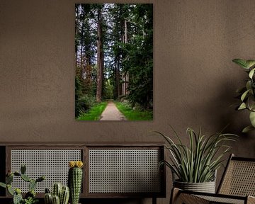 Friedlicher Waldspaziergang - Naturfotografie mit Bäumen und Rehen, digitale Wanddekoration mit warmen Grüntönen